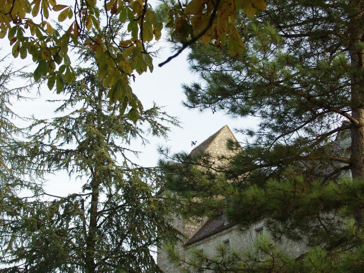 Château de Montramé Soisy-Bouy Esterno foto